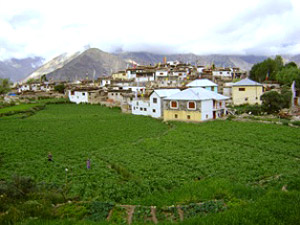 Тур в Индию Малый Тибет Долина Спити