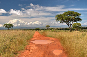 Тур в Уганду, Кению и Танзанию. Сафари