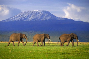 Тур в Танзанию. Восхождение на Килиманджаро