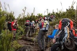 Тур в Танзанию. Восхождение на Килиманджаро