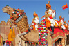 Индия. Золотой треугольник и Ярмарка верблюдов в Пушкаре