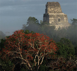 Тур в Мексику и Гватемалу. Археологические сокровища