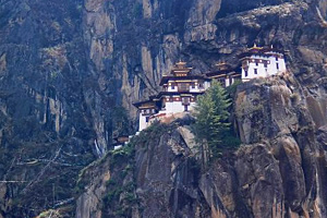 Тур в Индию и Бутан