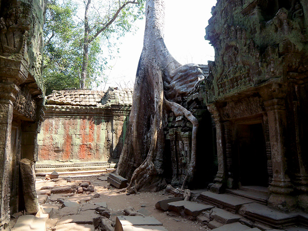 Храмы Камбоджи. Та Пром