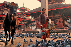 Тур в Индию и Непал. Золотой треугольник и Катманду
