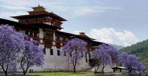 Бутан. Праздники
