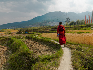 Тур в Бутан. Фестиваль Цечу