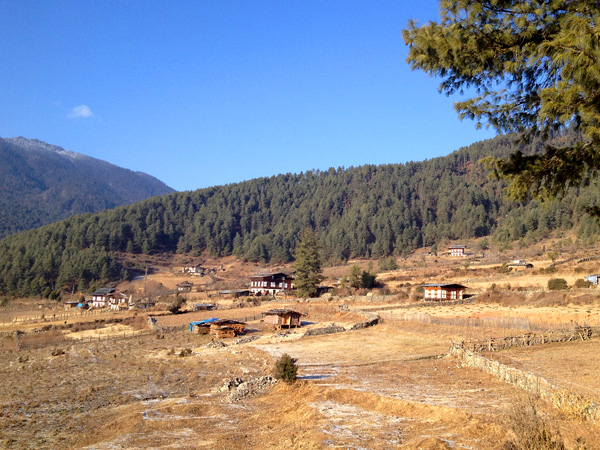 Бутан. Отель Amankora Gangtey