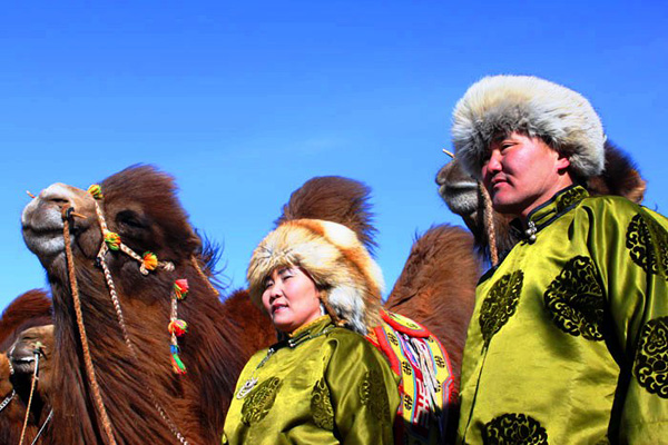 Монголия. Фестиваль верблюдов