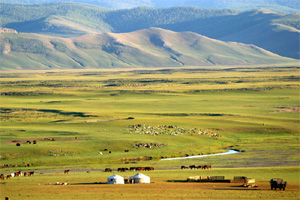 поездка в монголию