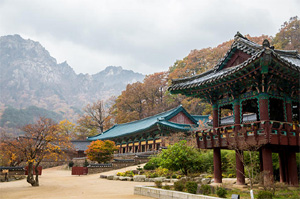 Тур в Южную Корею