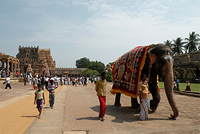 Тур в Южную Индию. Тамил-Наду и Керала
