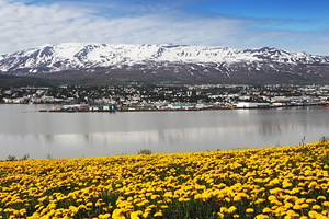 Тур в Исландию летом