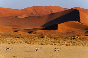 пустыня намиб