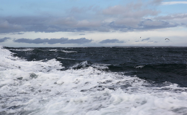 Остров Магдалены Тур в Чили и Аргентину