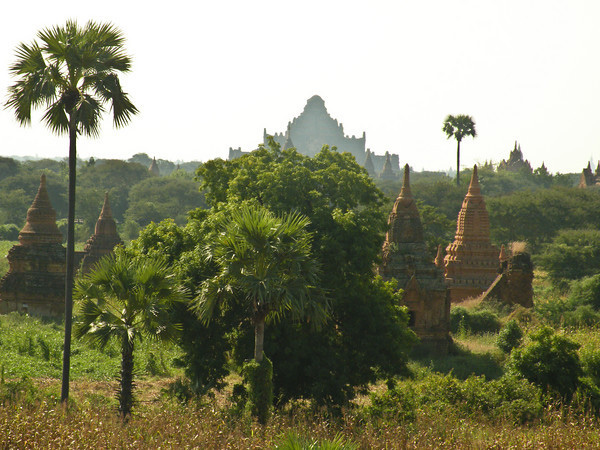 Тур в Мьянму (Бирму)